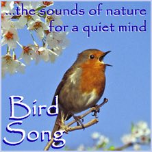Relaxing Nature Sounds - Bird Song Image
