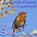 Online Relaxing Music - Bird Song Image