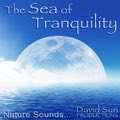 Online Relaxing Music - The Sea of Tranquility Image