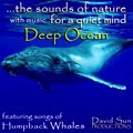 Relaxing Music: 'Deep Ocean' - Album Cover Image