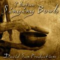 Relaxing Music: 'Tibetan Singing Bowls' - Album Cover Image